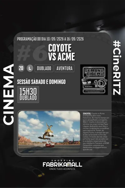 Coyote vs Acme